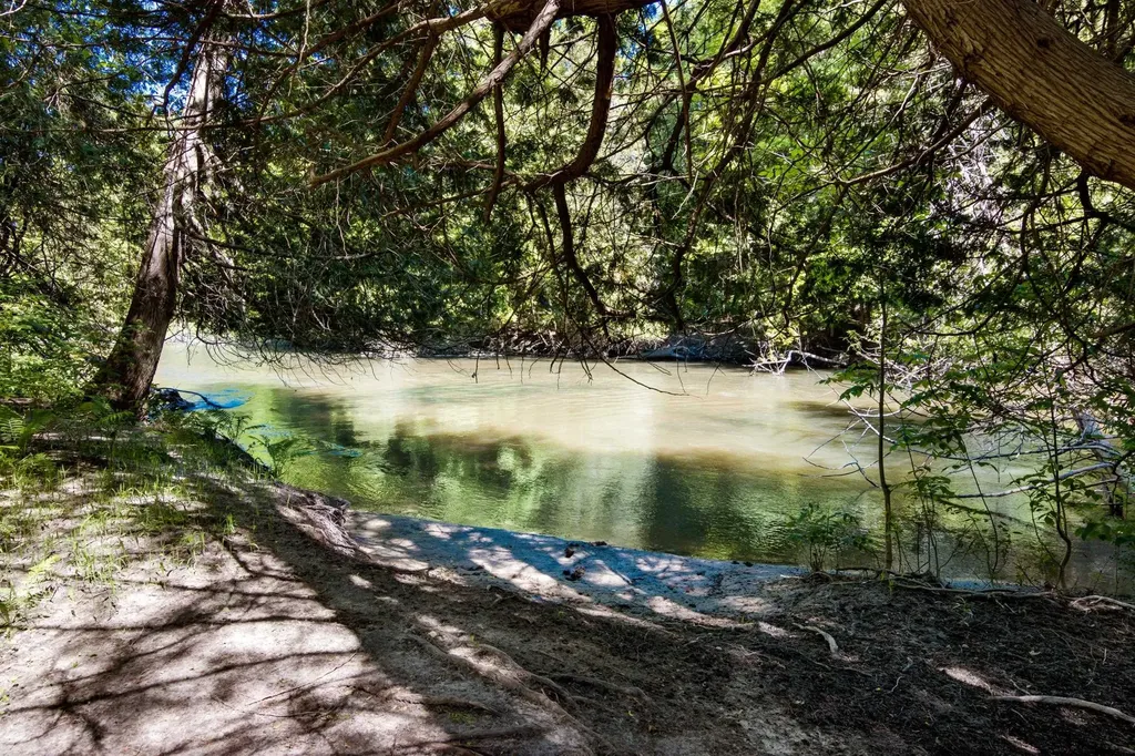 0 Betsie River Court Benzonia Township MI 49616
