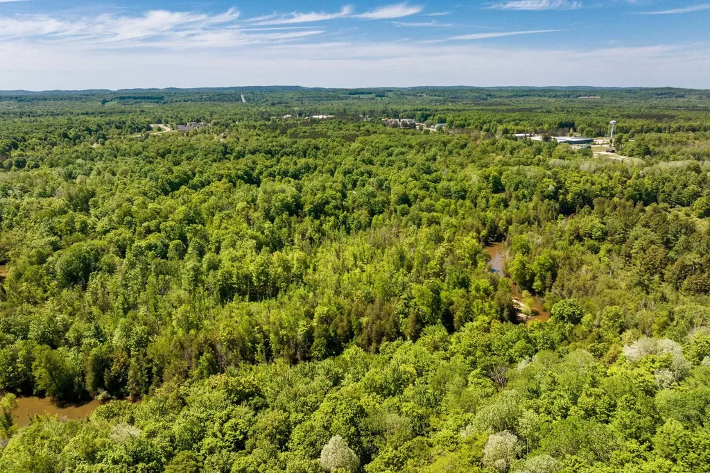 0 Betsie River Court Benzonia Township MI 49616