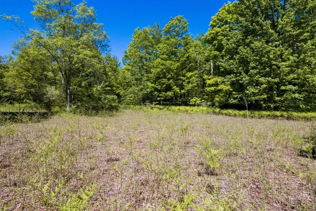 0 Betsie River Court Benzonia Township MI 49616