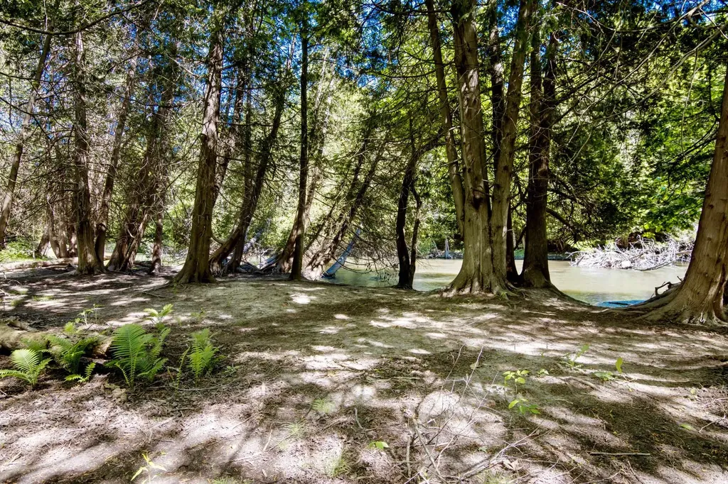 0 Betsie River Court Benzonia Township MI 49616