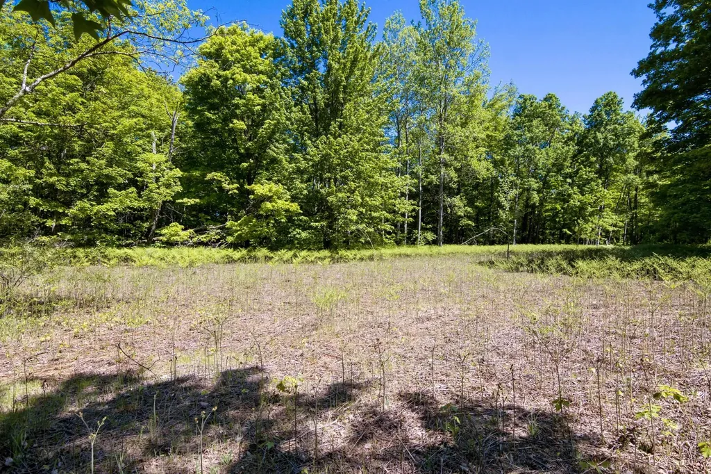 0 Betsie River Court Benzonia Township MI 49616