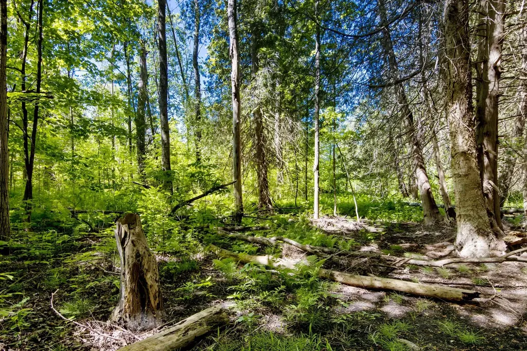0 Betsie River Court Benzonia Township MI 49616