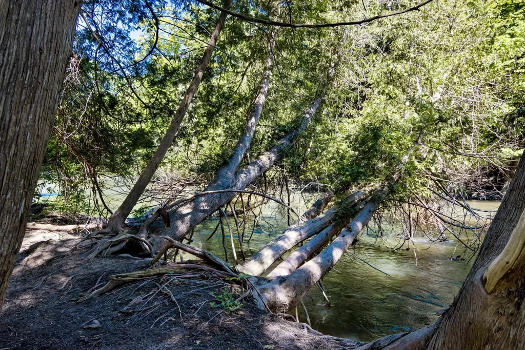 0 Betsie River Court Benzonia Township MI 49616