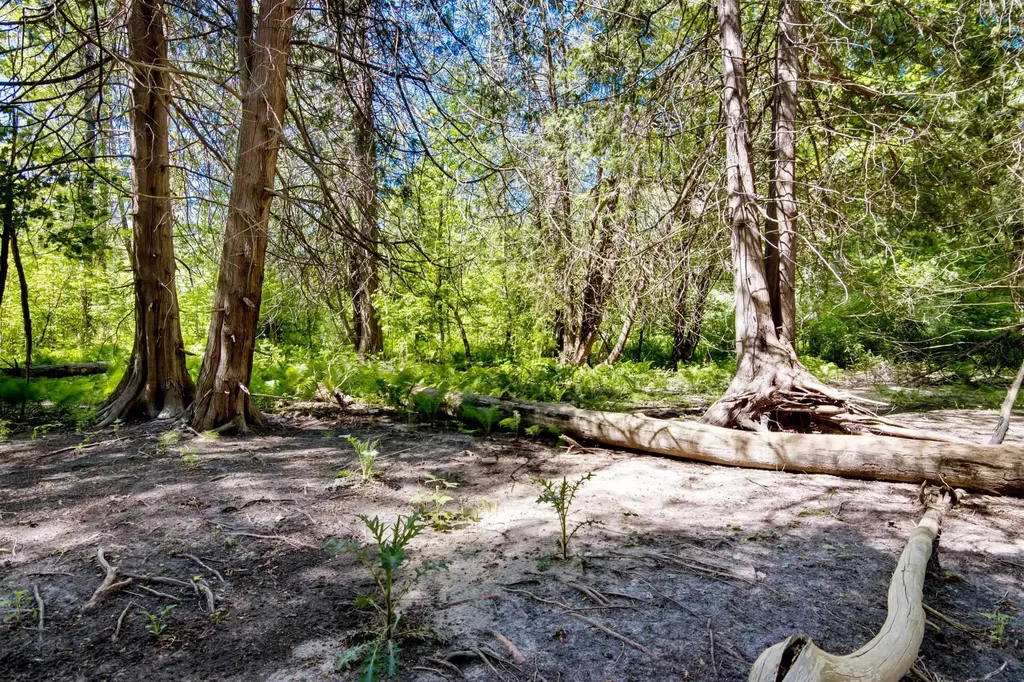 0 Betsie River Court Benzonia Township MI 49616