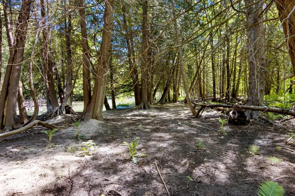 0 Betsie River Court Benzonia Township MI 49616