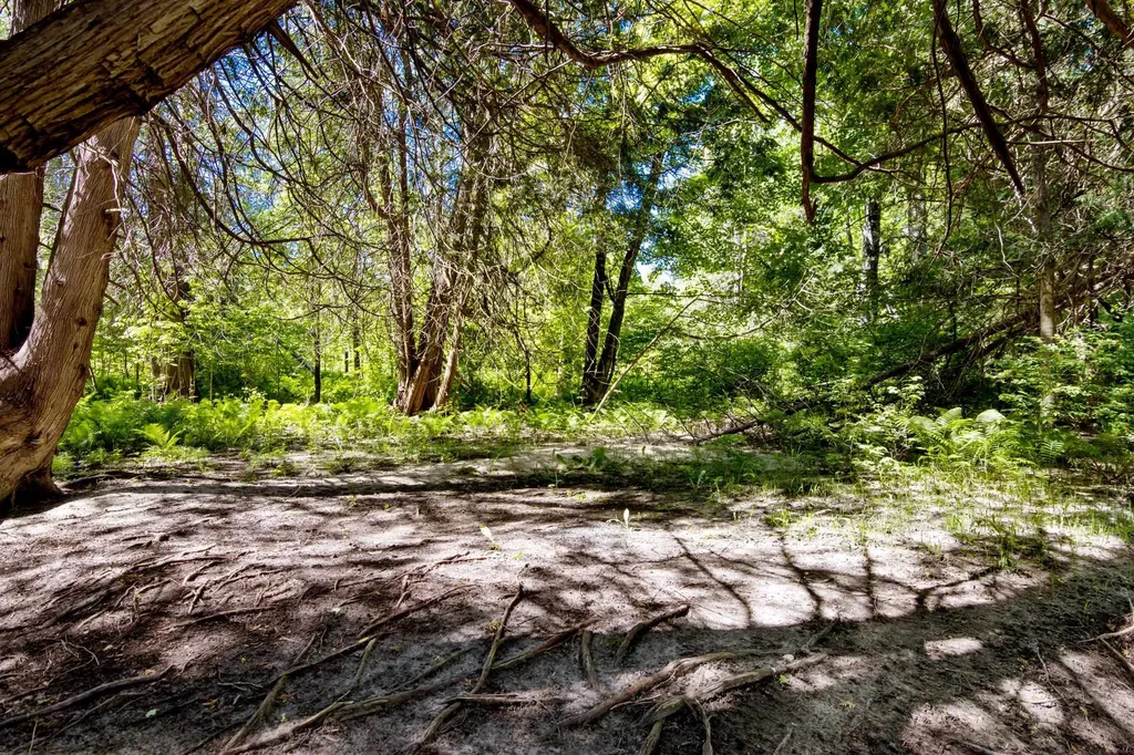 0 Betsie River Court Benzonia Township MI 49616