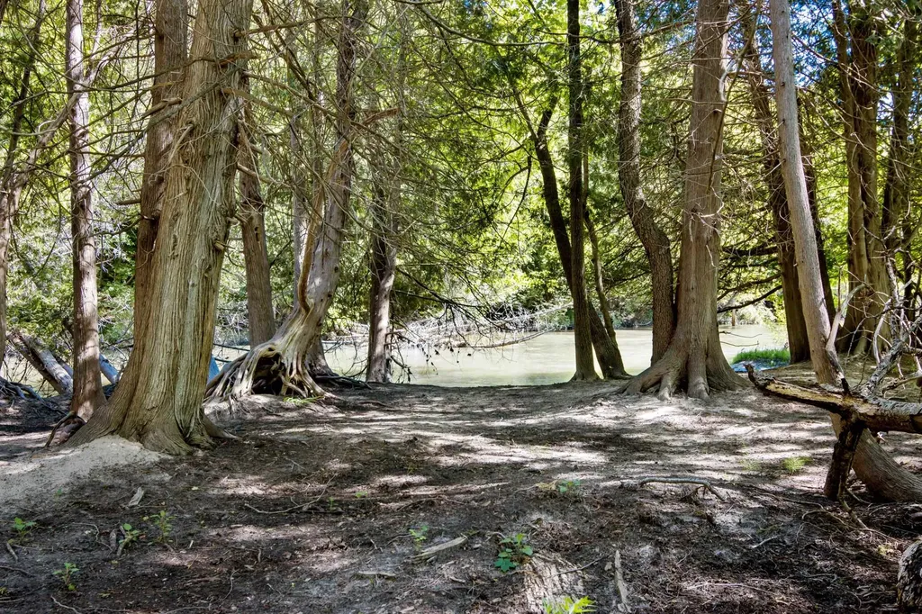 0 Betsie River Court Benzonia Township MI 49616