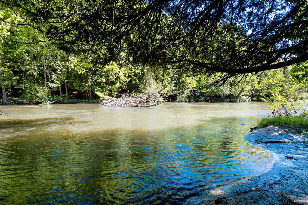 0 Betsie River Court Benzonia Township MI 49616