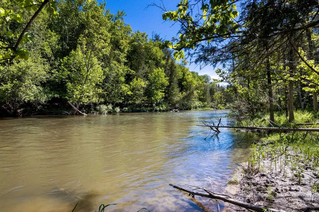 0 Betsie River Court Benzonia Township MI 49616