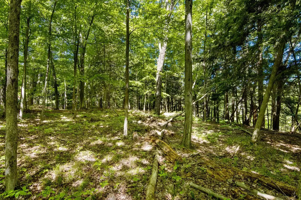 0 Betsie River Court Benzonia Township MI 49616