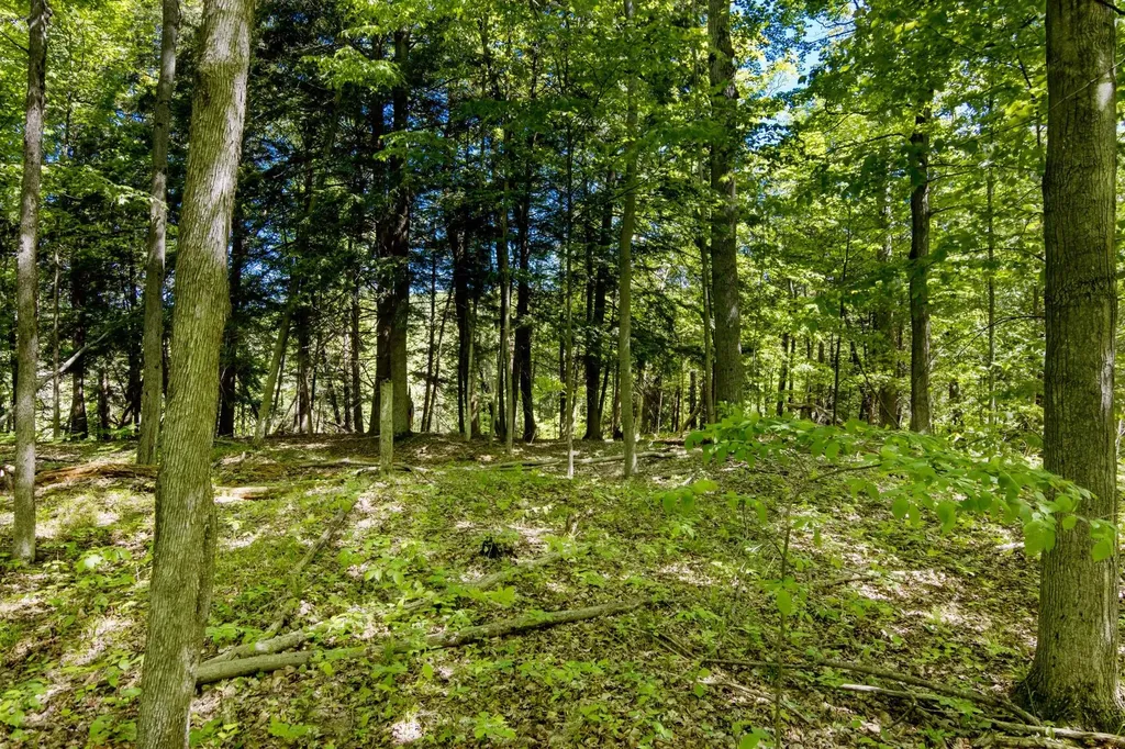 0 Betsie River Court Benzonia Township MI 49616
