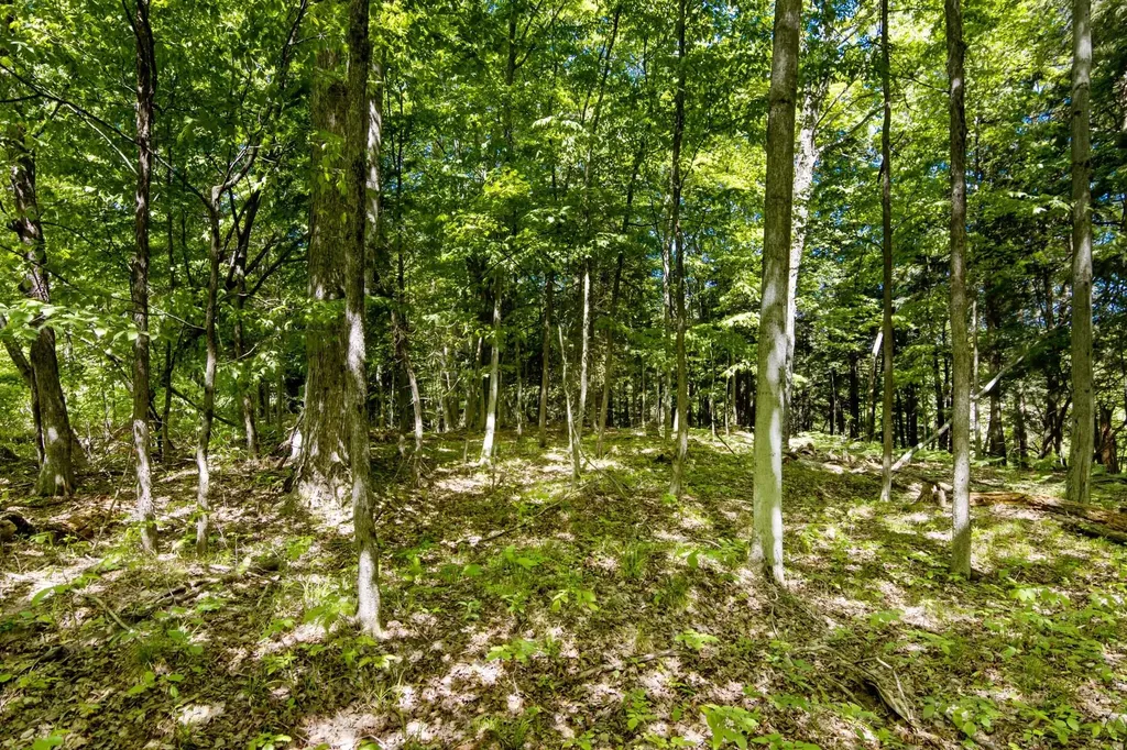 0 Betsie River Court Benzonia Township MI 49616