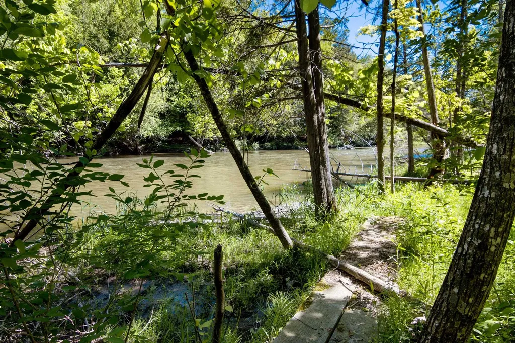 0 Betsie River Court Benzonia Township MI 49616