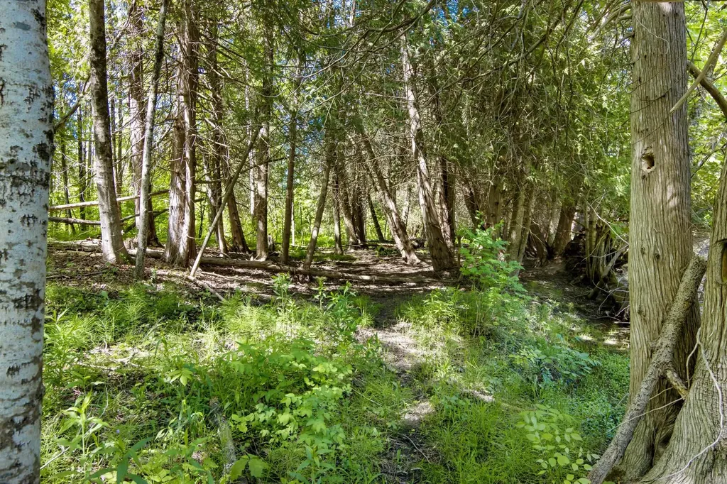 0 Betsie River Court Benzonia Township MI 49616