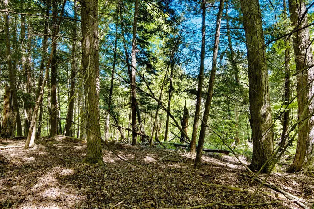 0 Betsie River Court Benzonia Township MI 49616