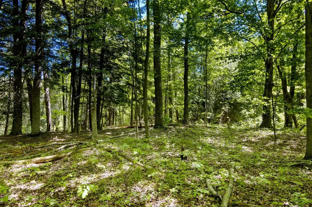0 Betsie River Court Benzonia Township MI 49616