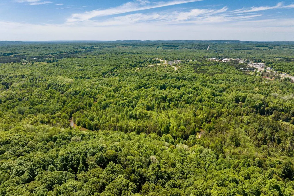 0 Betsie River Court Benzonia Township MI 49616