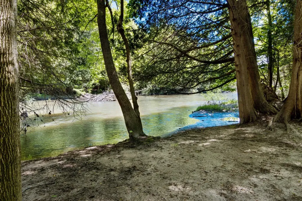 0 Betsie River Court Benzonia Township MI 49616