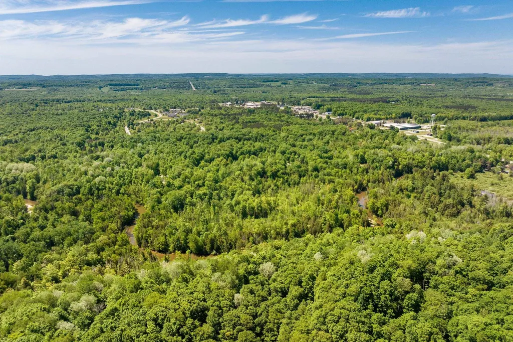 0 Betsie River Court Benzonia Township MI 49616