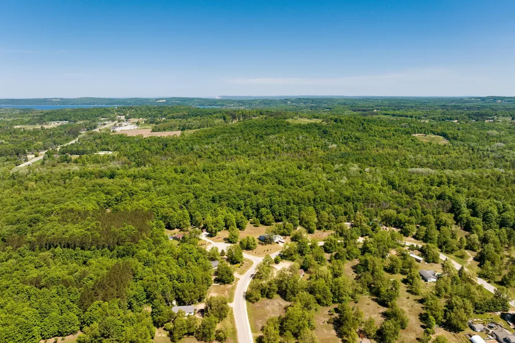 0 Betsie River Court Benzonia Township MI 49616