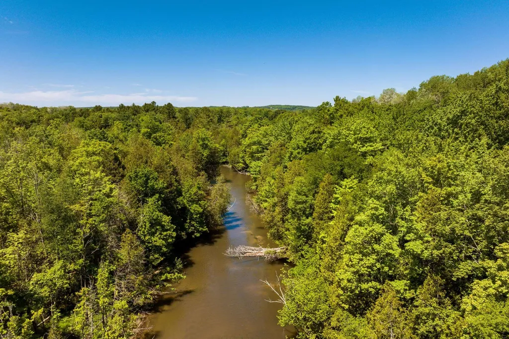 0 Betsie River Court Benzonia Township MI 49616
