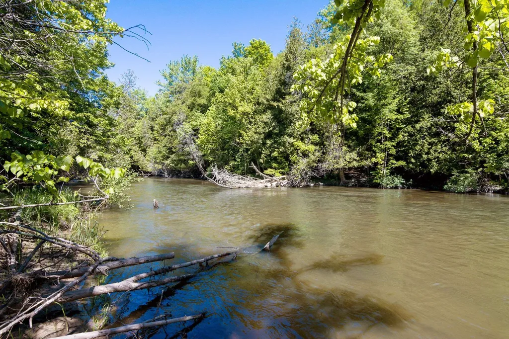 0 Betsie River Court Benzonia Township MI 49616