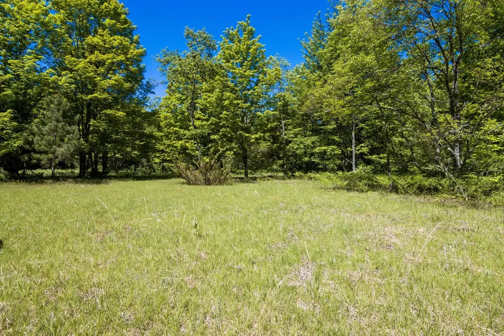 0 Betsie River Court Benzonia Township MI 49616