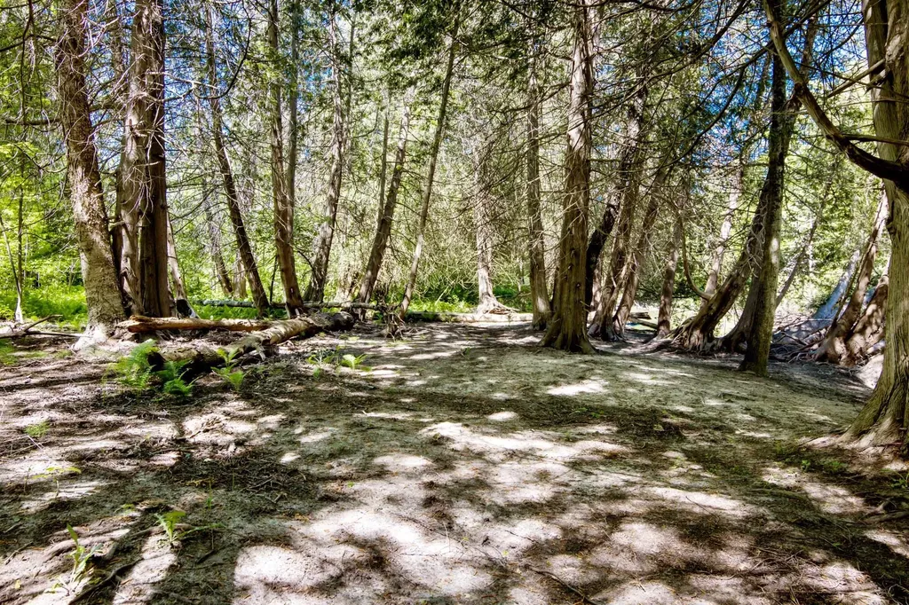 0 Betsie River Court Benzonia Township MI 49616
