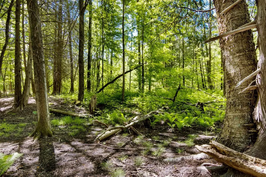 0 Betsie River Court Benzonia Township MI 49616