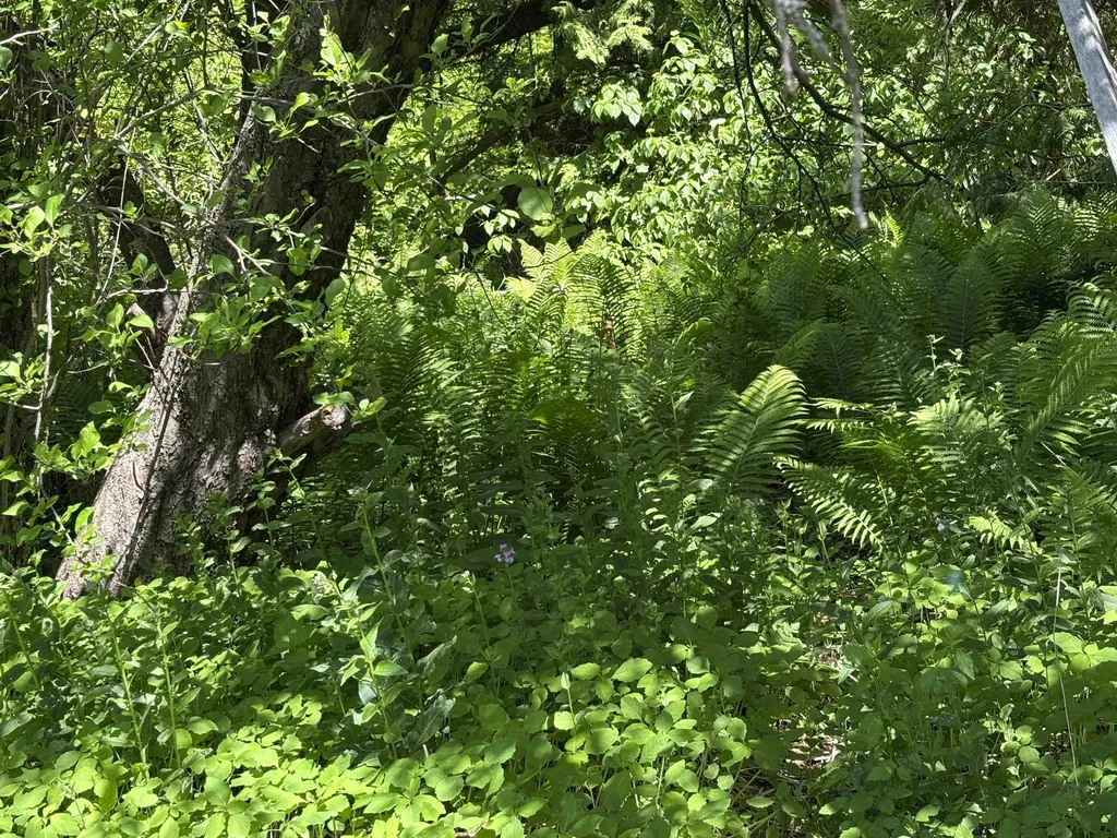 5962 S Lake Leelanau Drive Bingham Township MI 49684