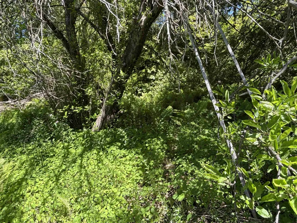 5962 S Lake Leelanau Drive Bingham Township MI 49684