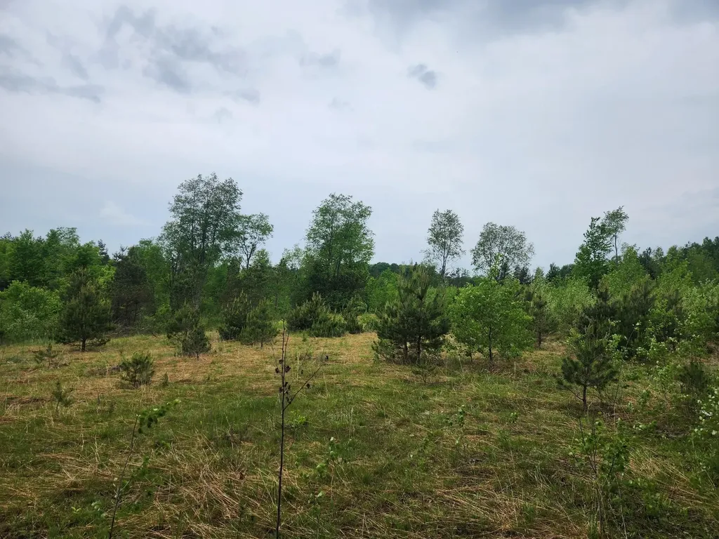 5948 Kniss Road Oliver Township MI 49646
