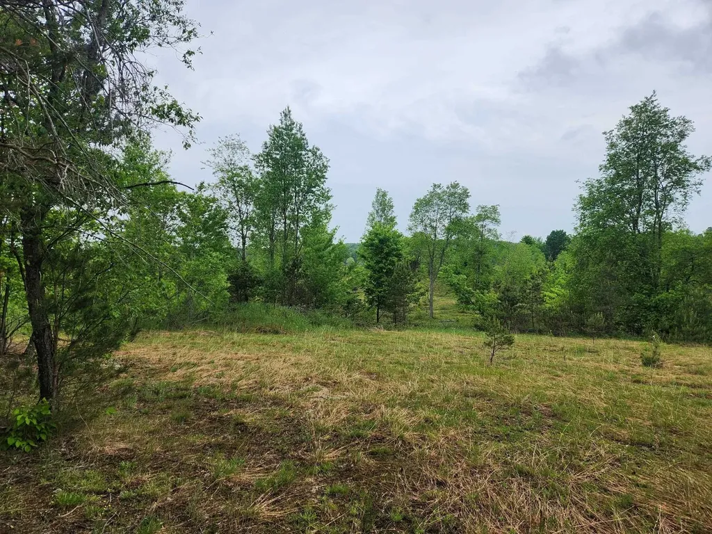 5948 Kniss Road Oliver Township MI 49646