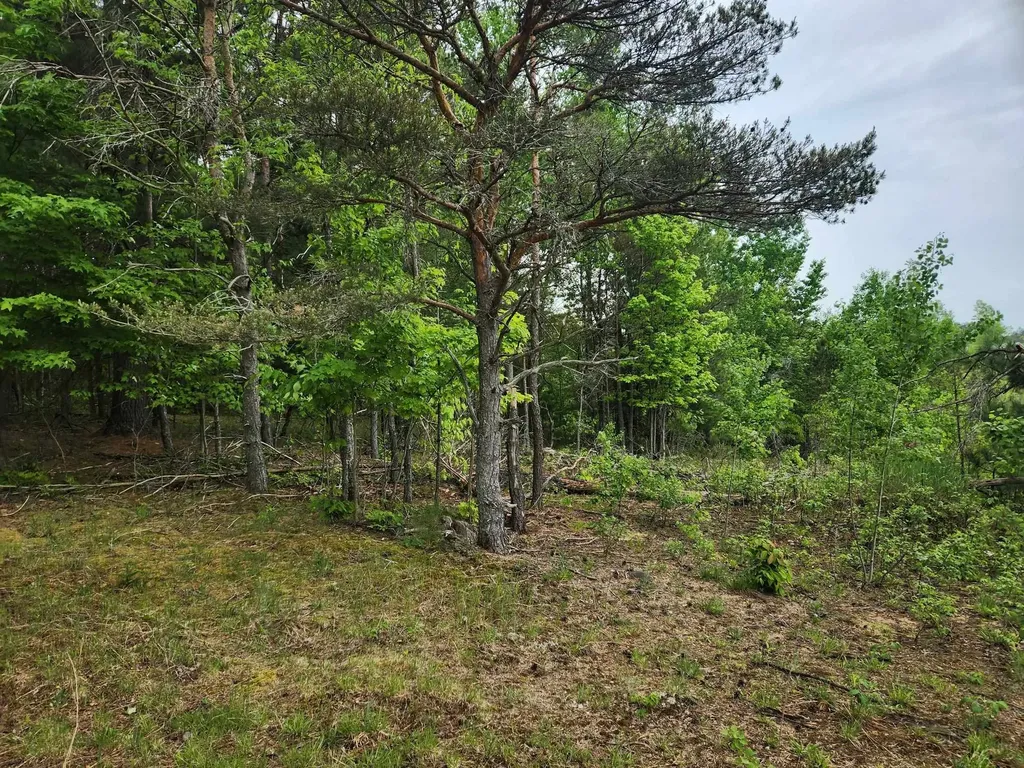 5948 Kniss Road Oliver Township MI 49646