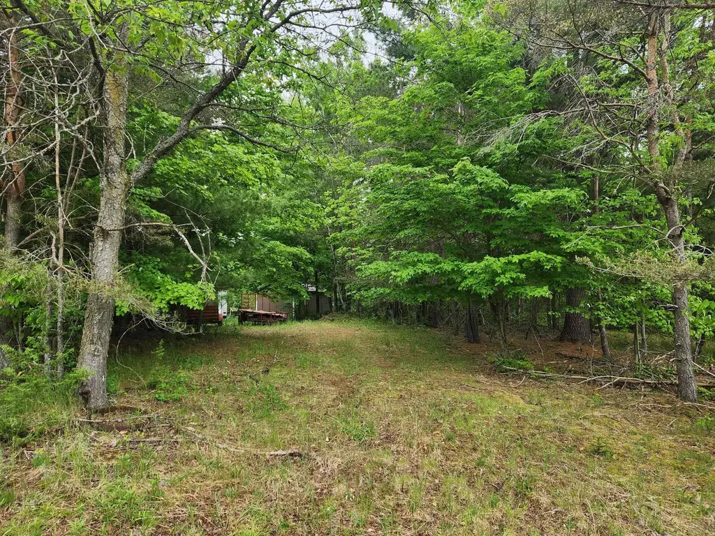 5948 Kniss Road Oliver Township MI 49646