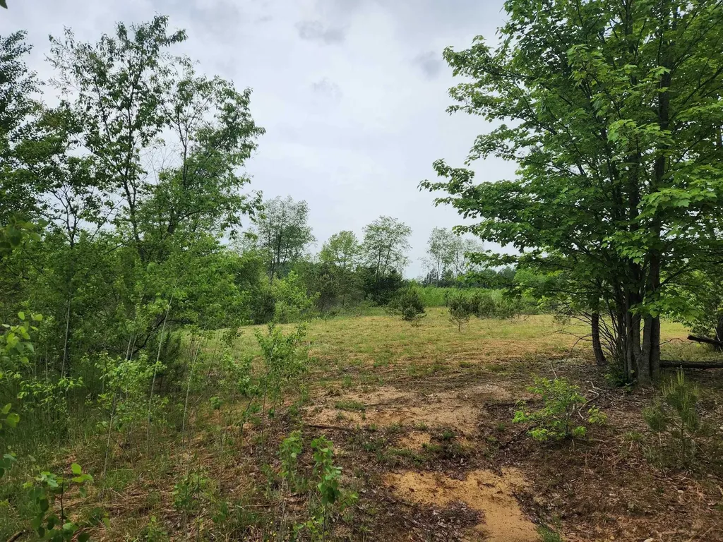 5948 Kniss Road Oliver Township MI 49646
