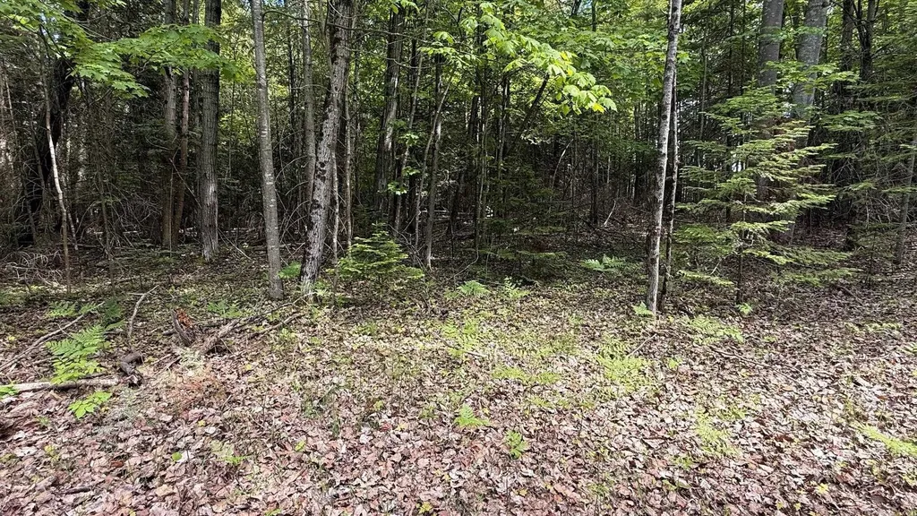 12851 Manitou Trail Torch Lake Township MI 49648