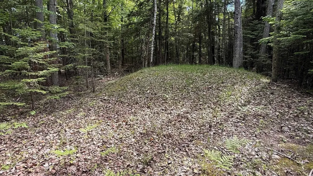 12851 Manitou Trail Torch Lake Township MI 49648
