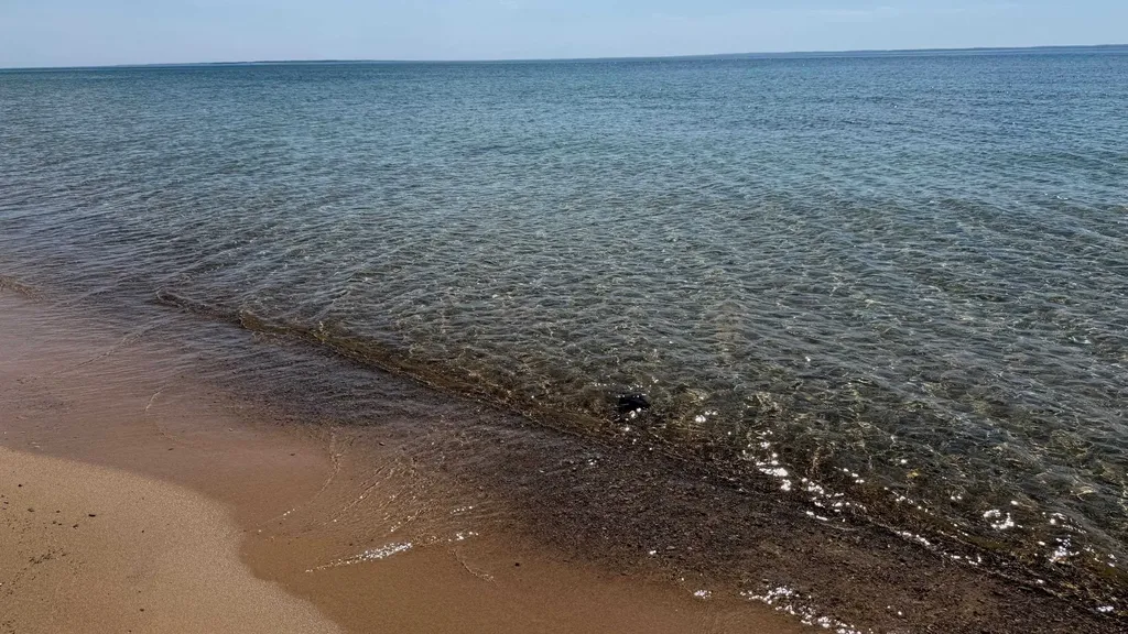 12851 Manitou Trail Torch Lake Township MI 49648