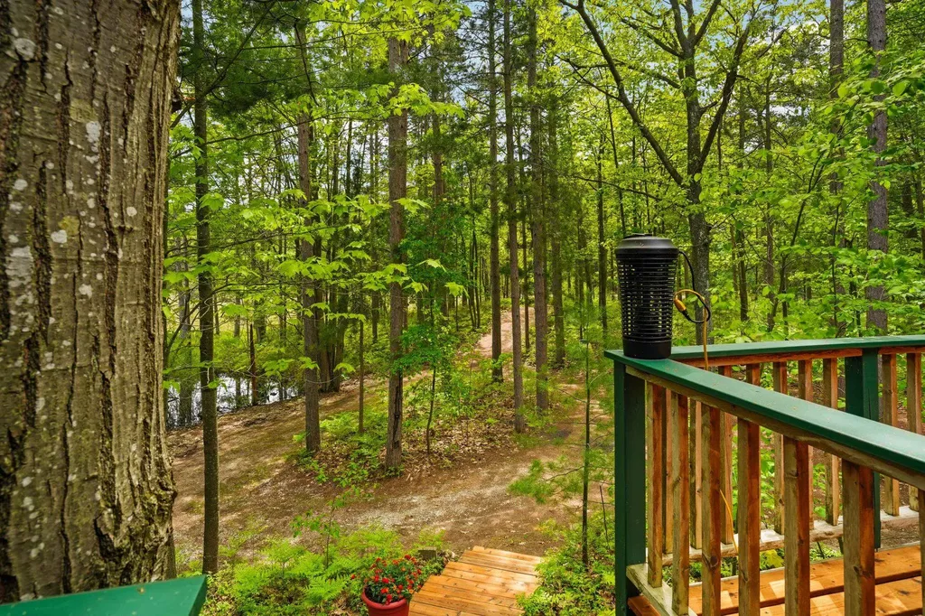 28525 Fox Pointe Trail Peaine Township MI 49782