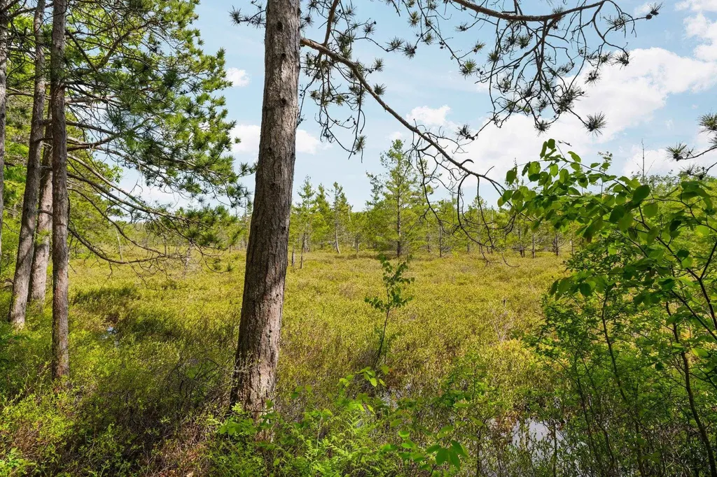 28525 Fox Pointe Trail Peaine Township MI 49782