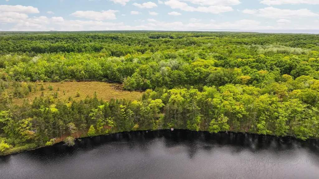 28525 Fox Pointe Trail Peaine Township MI 49782
