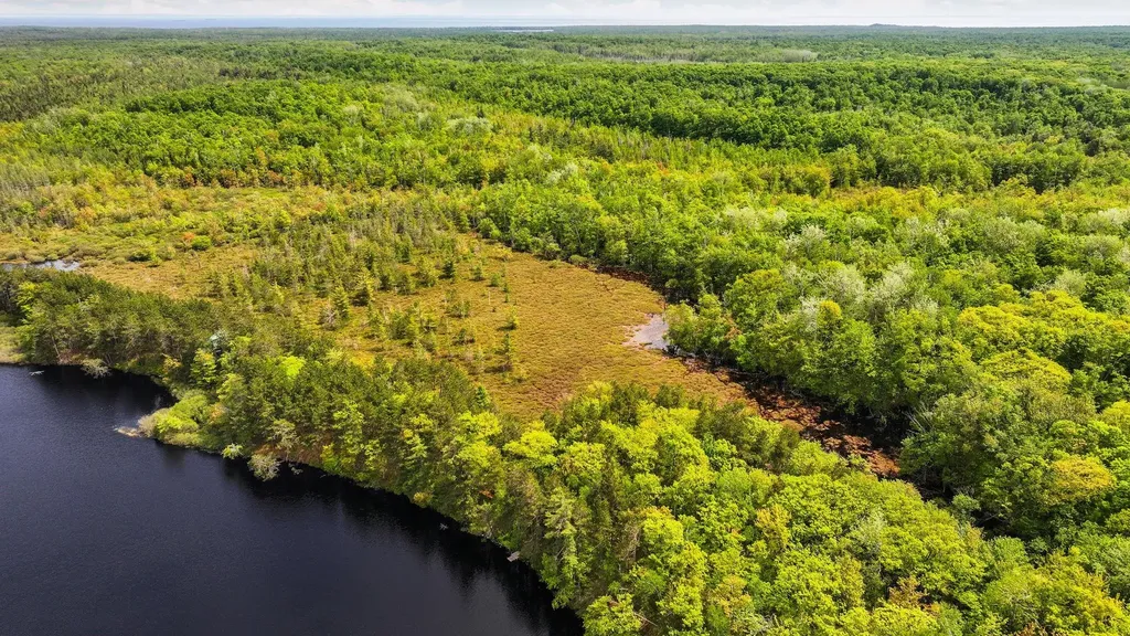 28525 Fox Pointe Trail Peaine Township MI 49782