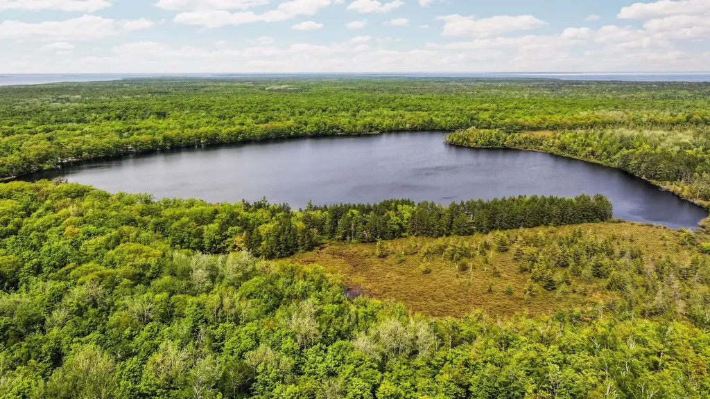 28525 Fox Pointe Trail Peaine Township MI 49782