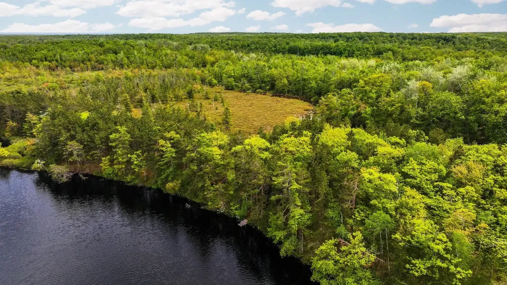 28525 Fox Pointe Trail Peaine Township MI 49782
