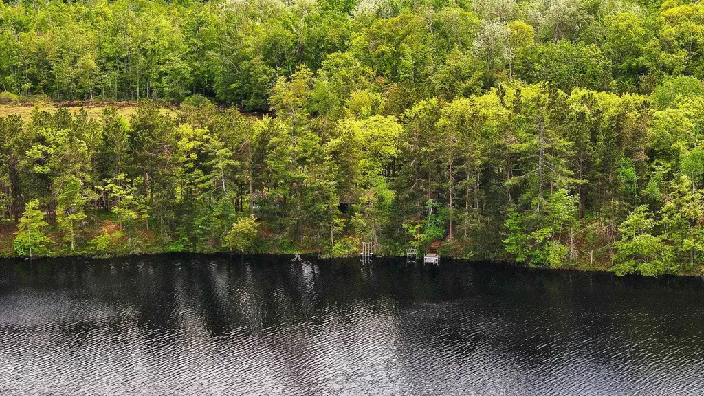 28525 Fox Pointe Trail Peaine Township MI 49782