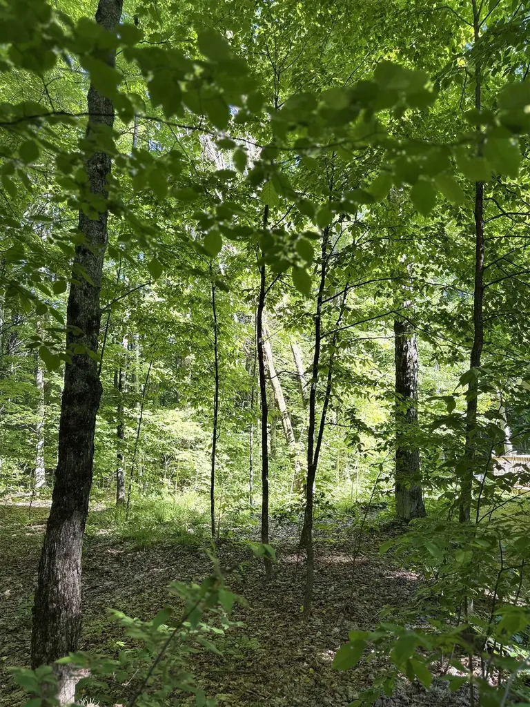 170 Kleehammer Club Drive Excelsior Township MI 49646