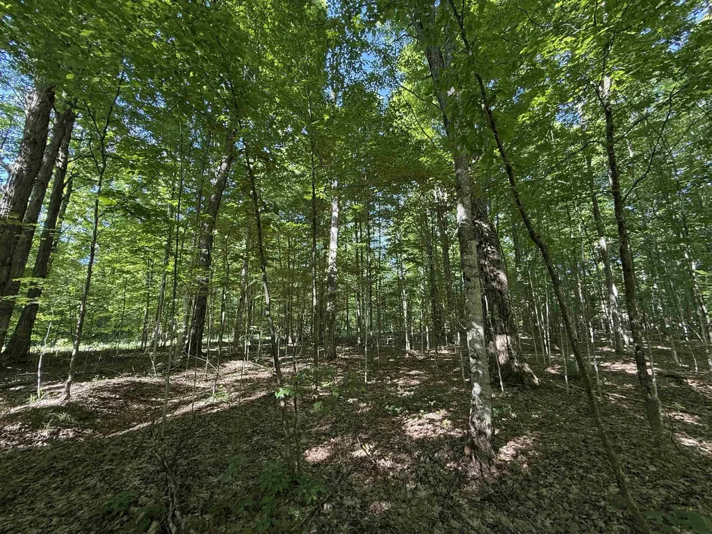170 Kleehammer Club Drive Excelsior Township MI 49646