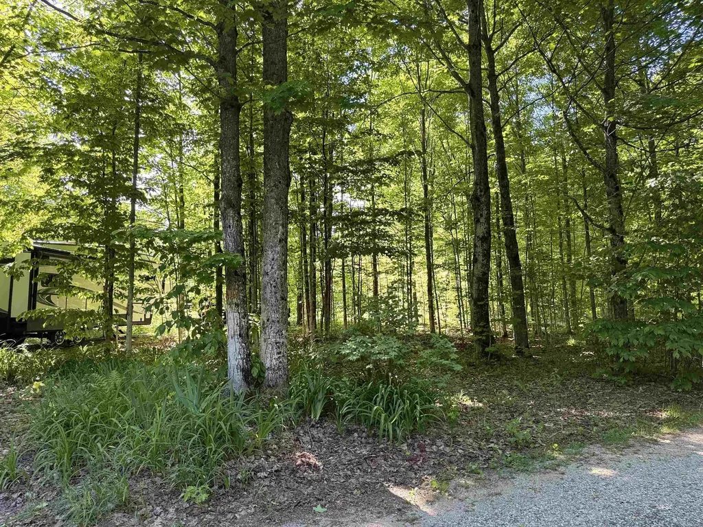 170 Kleehammer Club Drive Excelsior Township MI 49646