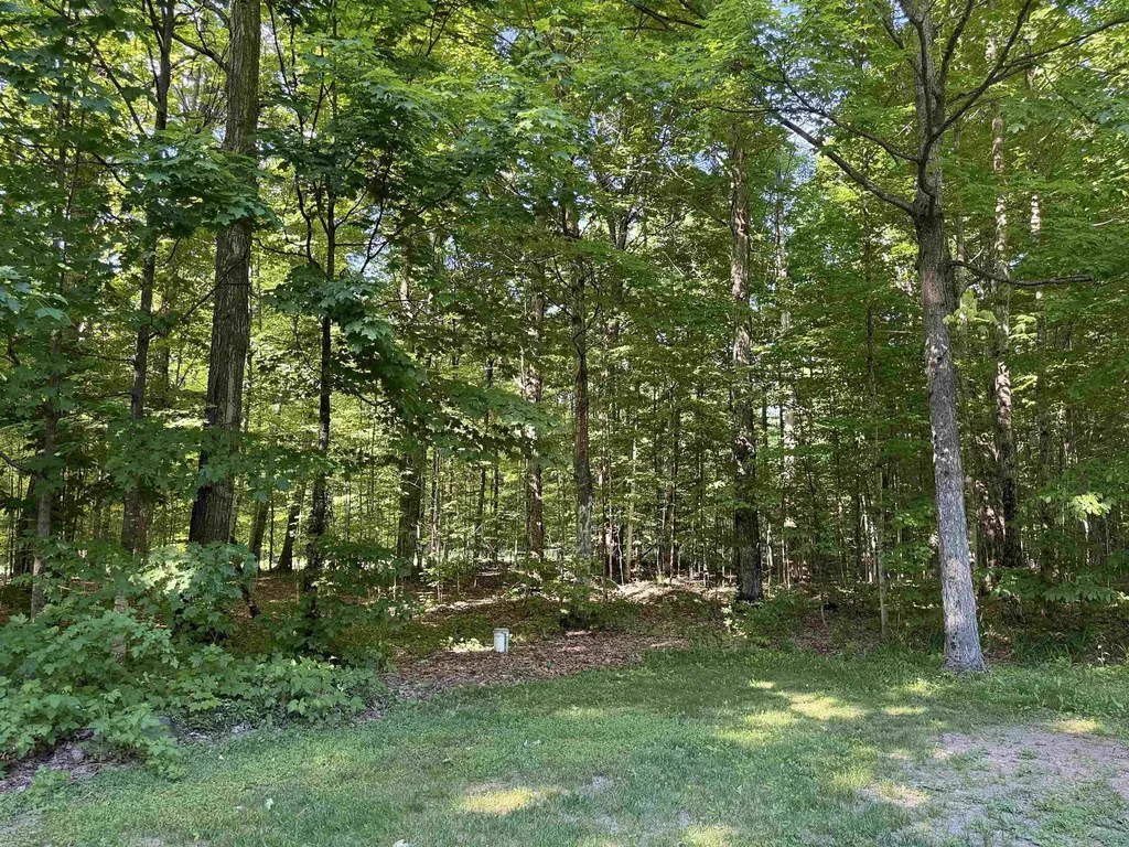 170 Kleehammer Club Drive Excelsior Township MI 49646